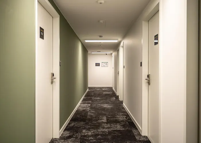 Homaris Nolli Berlin