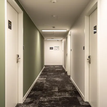 Homaris Nolli Berlino