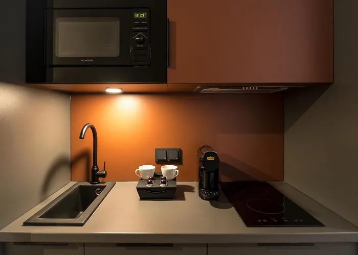 Homaris Nolli Berlim