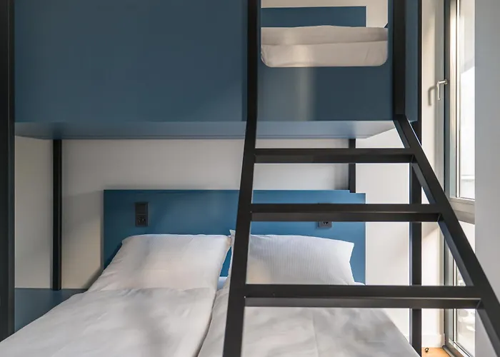 Homaris Nolli Berlim