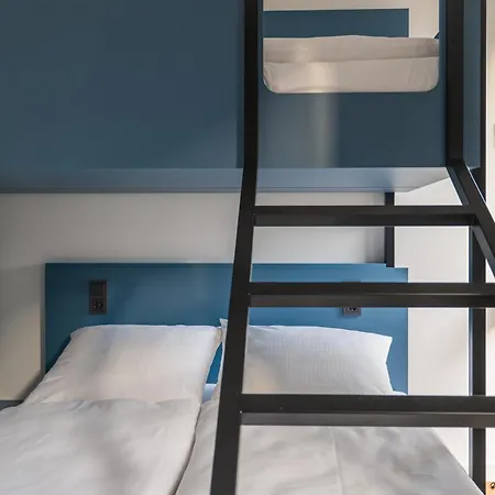 Homaris Nolli ברלין