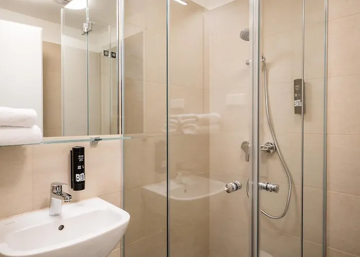 Homaris Nolli Βερολίνο